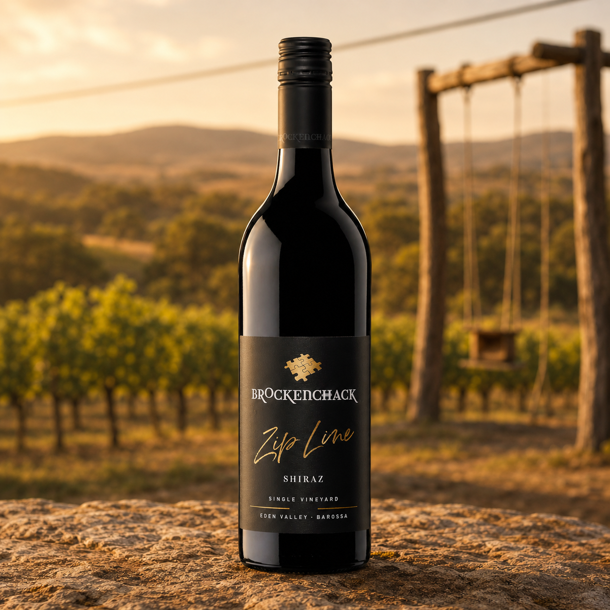 Zip Line Shiraz 2022