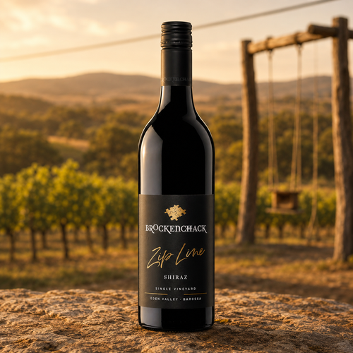 Zip Line Shiraz 2022