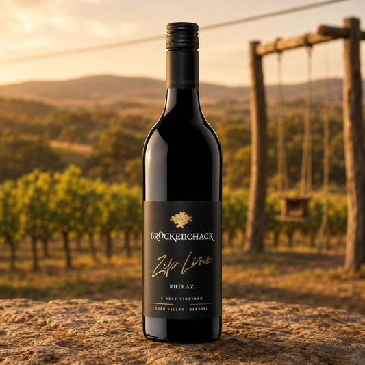 Zip Line Shiraz 2022
