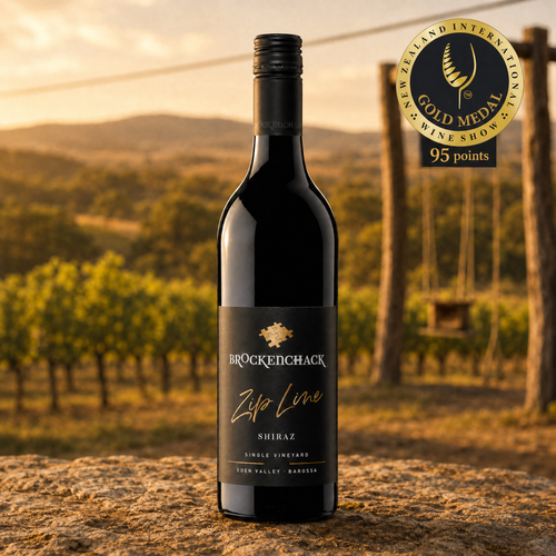 Zip Line Shiraz 2022